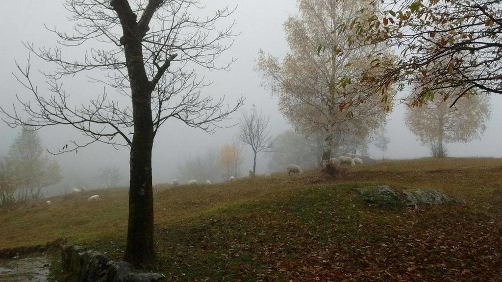 Rifugio Uschione Pensionat Chiavenna Exteriör bild