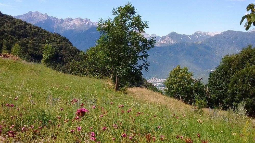 Rifugio Uschione Pensionat Chiavenna Exteriör bild